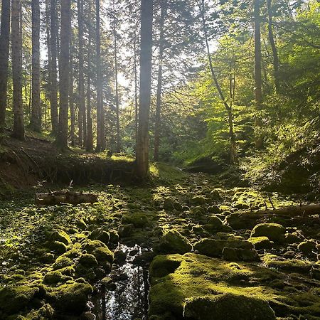 Wild Escape Racha Villa Ambrolauri Eksteriør bilde